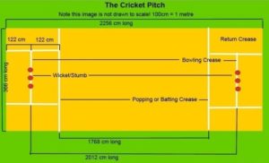 Cricket Pitch Length- Types | Dimensions | Shape & Size | Diagram of Pitch